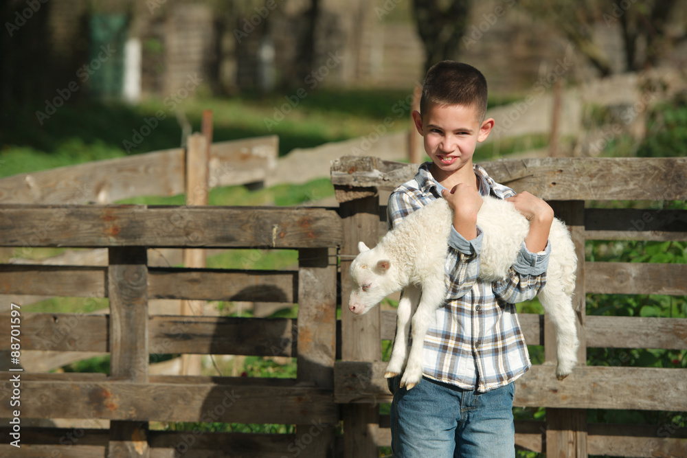 boy with lamb on the farm - obrazy, fototapety, plakaty 