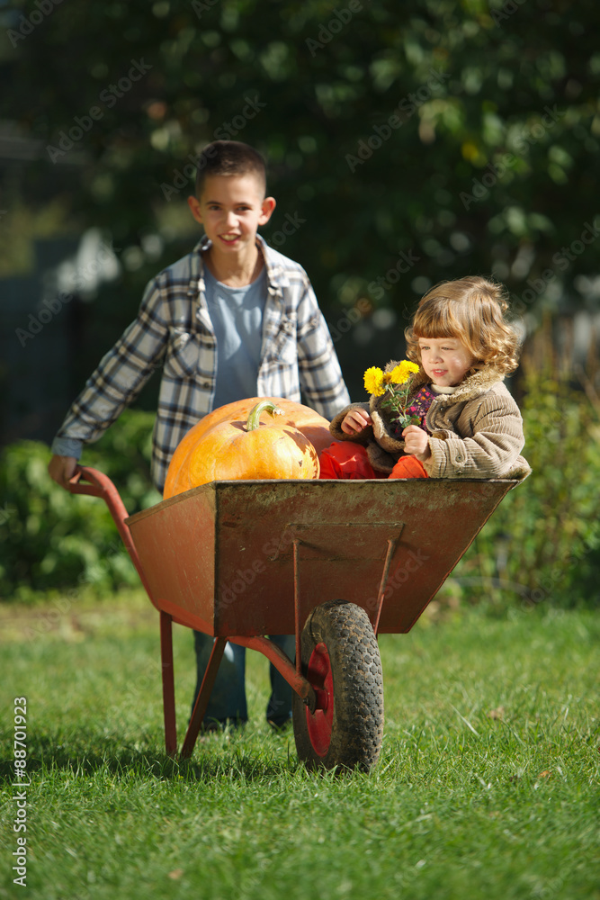 Obraz premium girl and boy with pumpkins in the garden