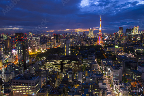 Tokyo  city aerial skyscape view of buildings and street. Japan 