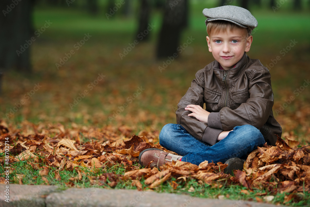 little funny boy in autumn leaves portrait little funny boy in autumn leaves portrait