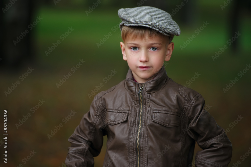 little funny boy in autumn leaves portrait