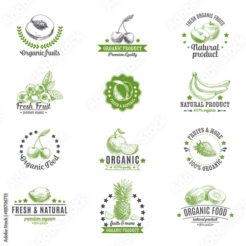 Vector set of labels, logos and hand drawn design elements with 