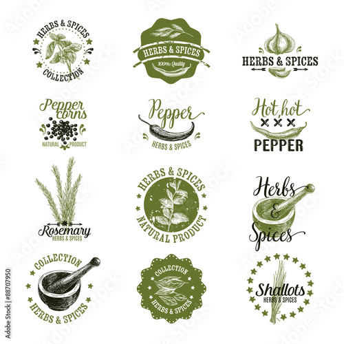 Vector set of herbs and spices labels, badges.