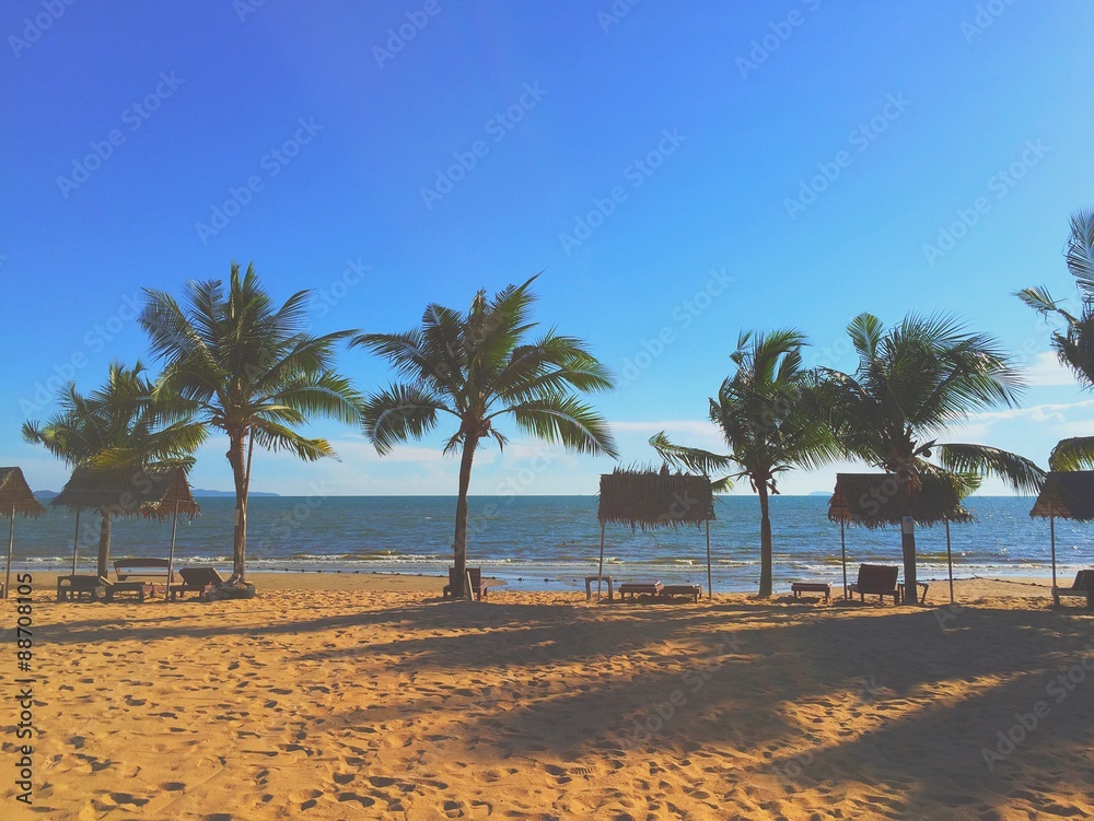 Fototapeta premium coconut tree on beach