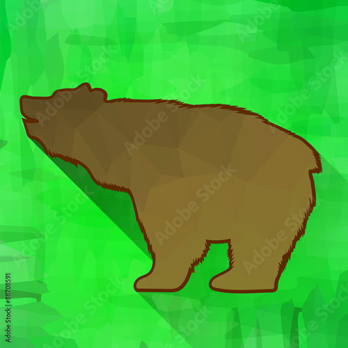 Brown Bear