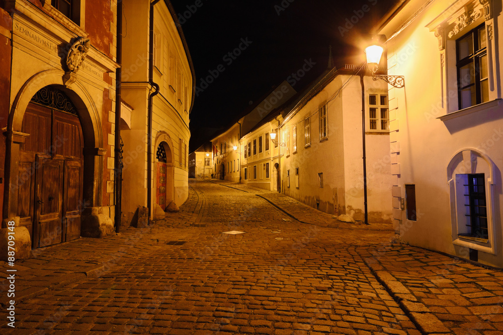 Fototapeta premium Night street of Bratislava