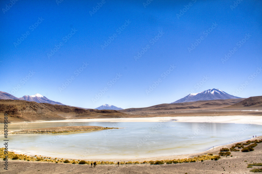 Lagoon in the Andean highlands in Bolivia

