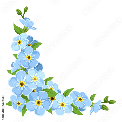 Blue forget-me-not flowers. Vector corner background.