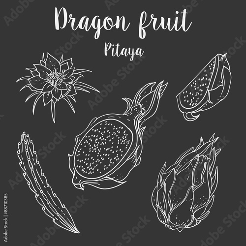 Pitaya vector fruit organic set