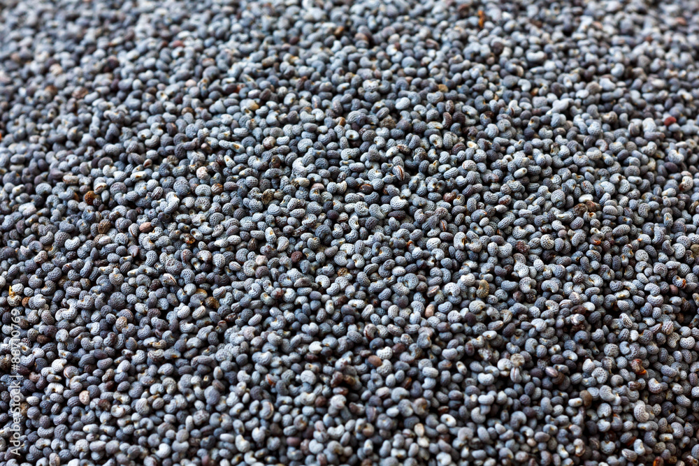 Macro of dried poppy seeds as a background.