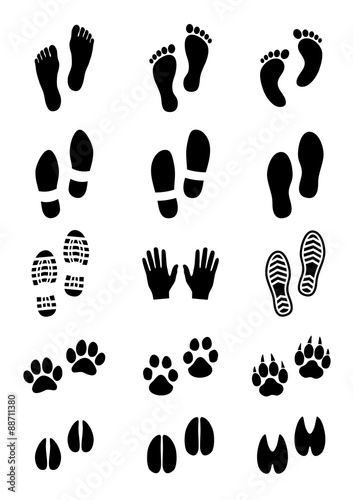 Traces of human and animal