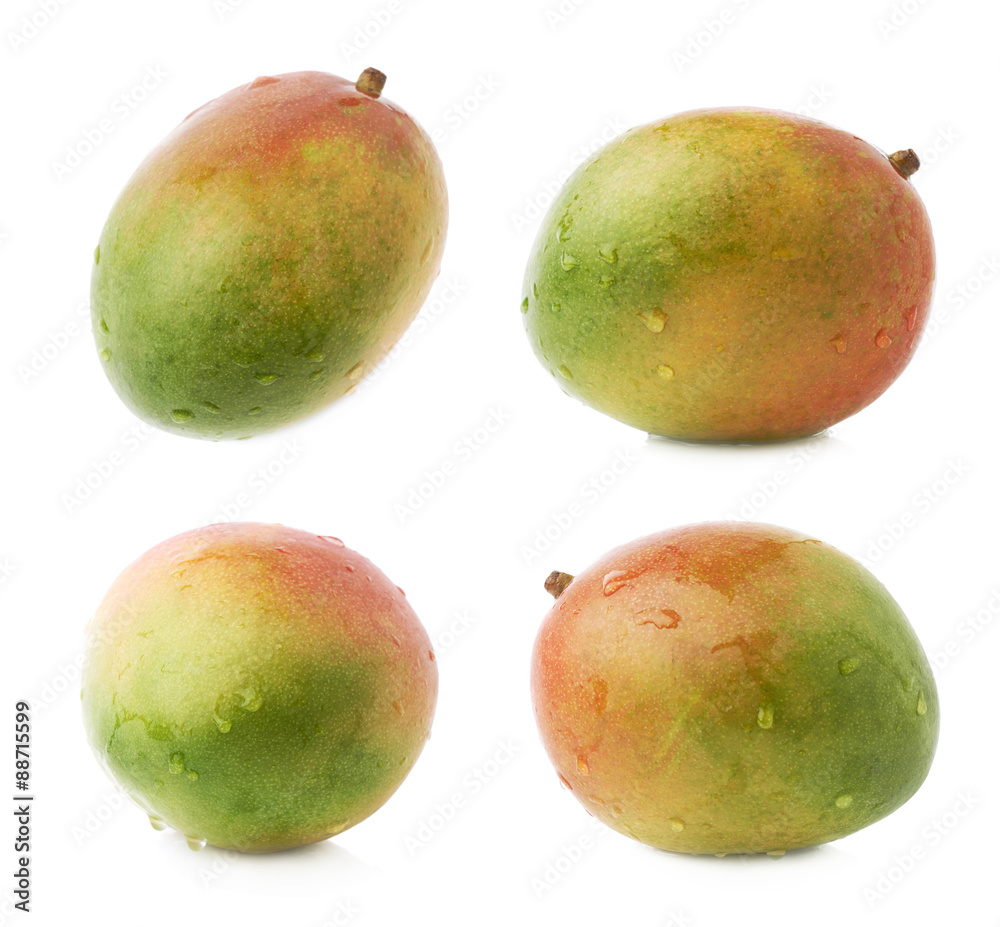 Single mango fruit isolated Single mango fruit isolated