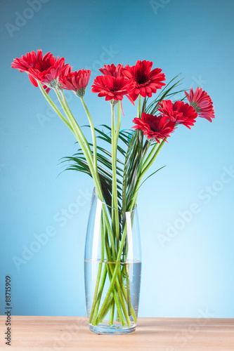 Fototapeta Naklejka Na Ścianę i Meble -  Gerbera in a glass vase