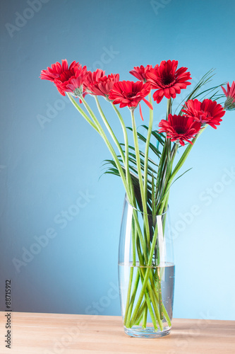 Fototapeta Naklejka Na Ścianę i Meble -  Gerbera in a glass vase