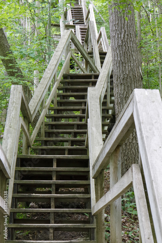 Stairway Ascending a Ravine in a Deciduous Forest - Rock Glen, Ontario