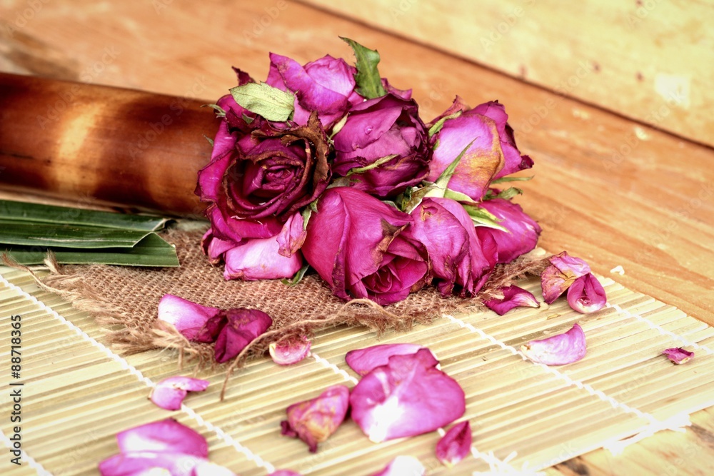 Pink roses and rose petals were sprinkled fallen. Pink roses and rose petals were sprinkled fallen.