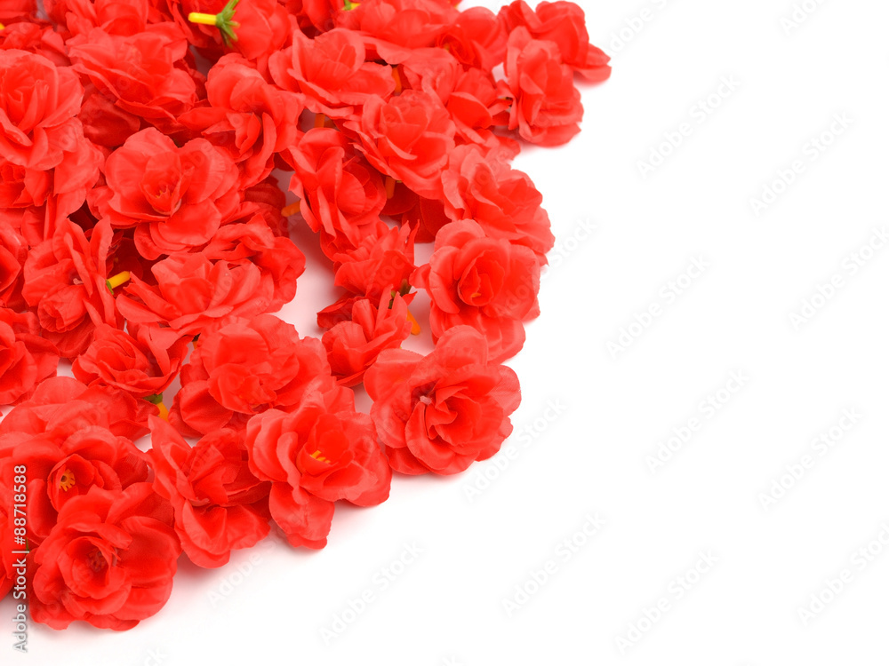 Fototapeta premium red rose artificial flower on white background