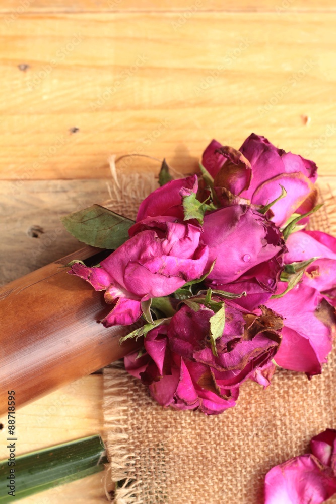 Pink roses and rose petals were sprinkled fallen.