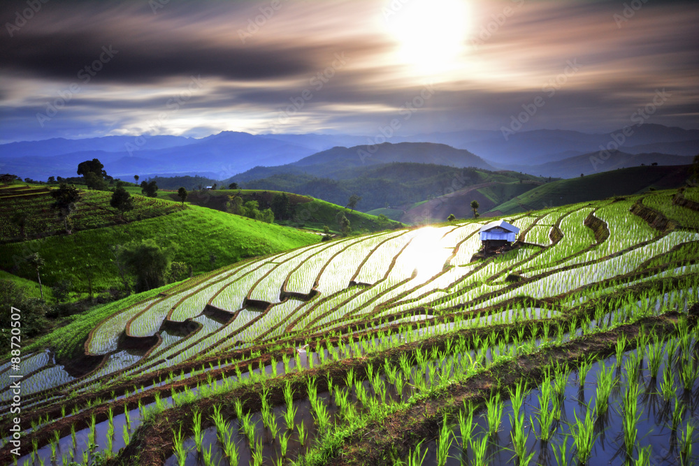 Naklejka premium Visual arts rice terraces