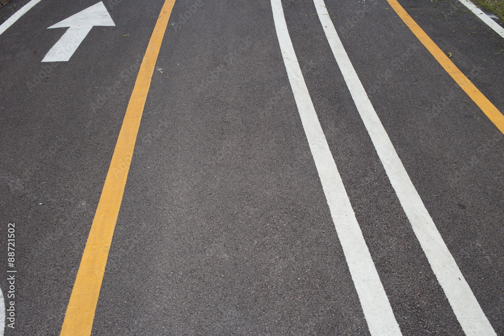 Bicycle Lanes in Park