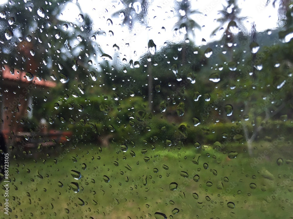 Rain drops on the window Rain drops on the window