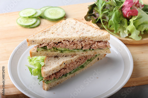 tuna sandwich