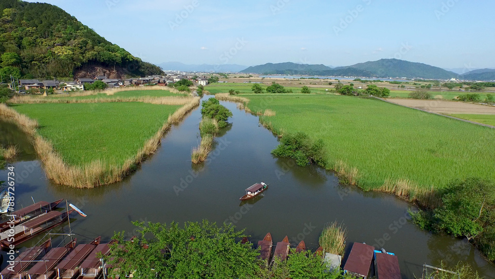 Naklejka premium 空撮 滋賀県 近江八幡 水郷めぐり