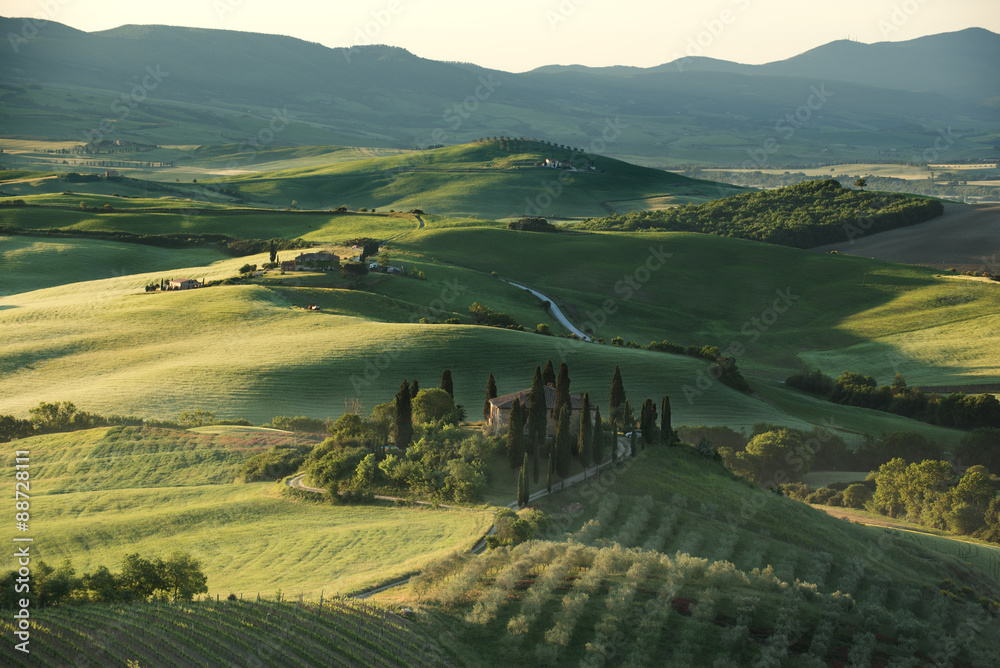 Fototapeta premium Rural summer landscape of Tuscany, Italy