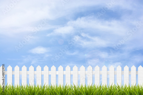 grass and fence under blue sky and clouds © zephyr_p