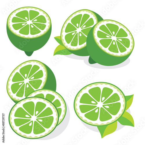 Lime vector illustrations