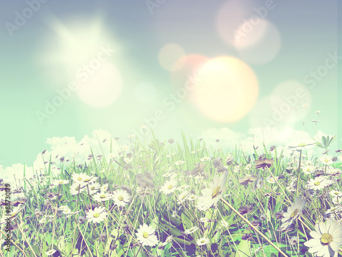 Fototapeta Naklejka Na Ścianę i Meble -  3D daisies in grass
