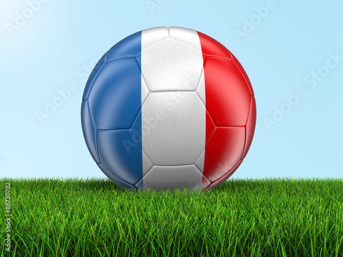 Soccer football with French flag on grass. Image with clipping path