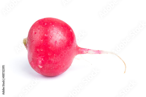 Fresh radish