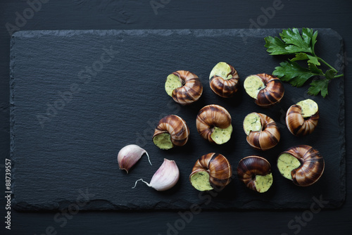 Fototapeta Naklejka Na Ścianę i Meble -  Uncooked bourgogne snails on a stone slate plate, above view