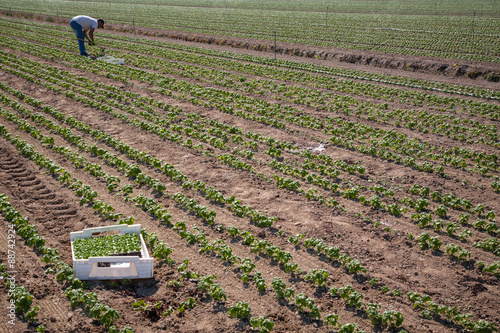 Agricoltore