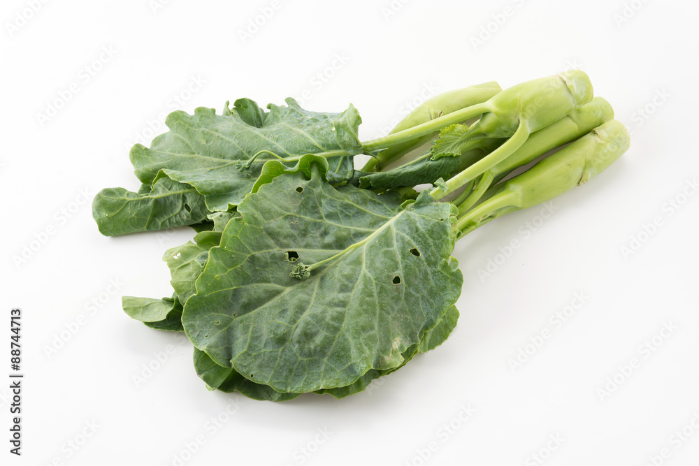 Chinese Kale Chinese Kale