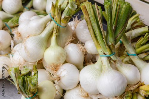 Spring Onions also known as Salad Onions, Scallions  on the market