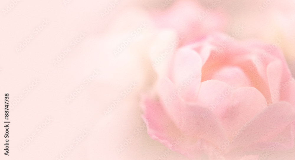 rose in vintage color style on mulberry paper texture for background