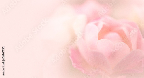 rose in vintage color style on mulberry paper texture for background © number1411