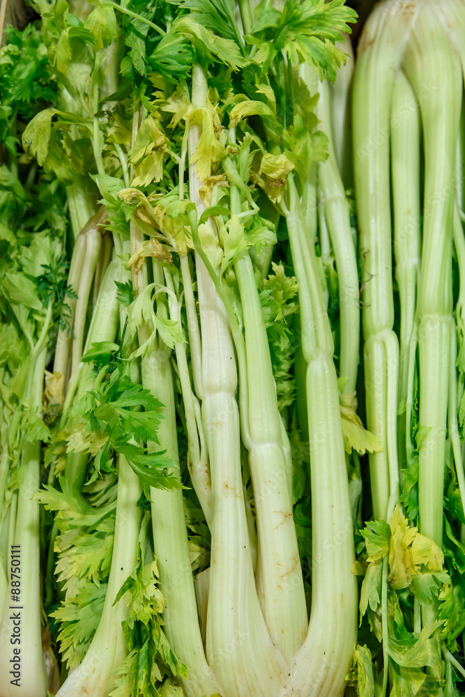 Fototapeta premium Fresh group of Celery