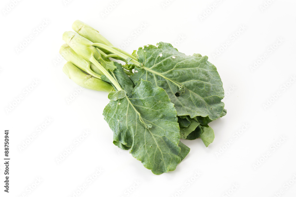 Chinese Kale Chinese Kale