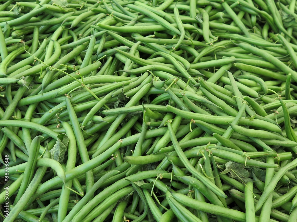 Pile of fresh organic green beans at local farmers market Pile of fresh organic green beans at local farmers market
