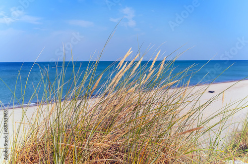 The national Park "CURONIAN SPIT" has no analogues in Europe in form and richness of flora and fauna, landscapes