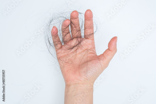 Hair loss in woman hand, on white background, women postpartum defluvium photo