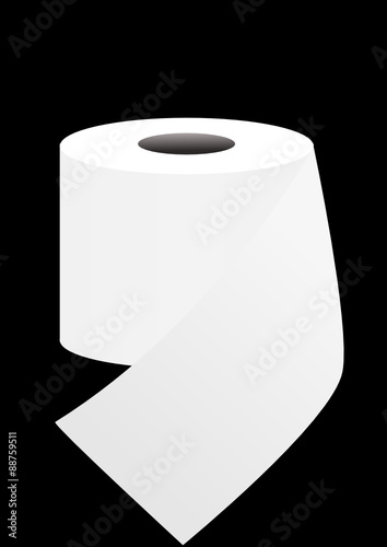 White toilet paper photo