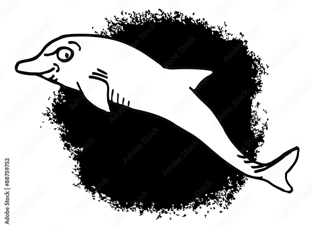 Obraz premium dolphin