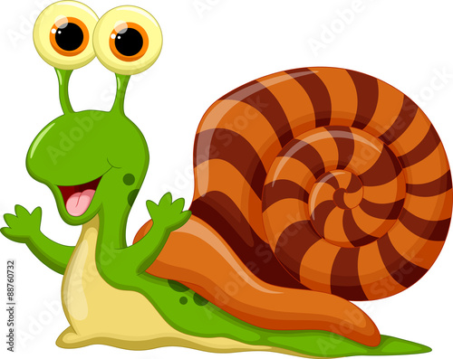 Cute snail cartoon