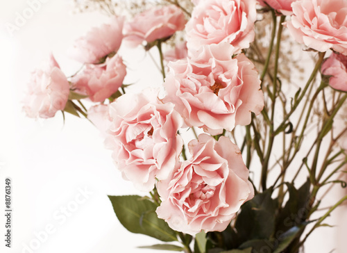 Tender pink tea roses with more blurred white flowers