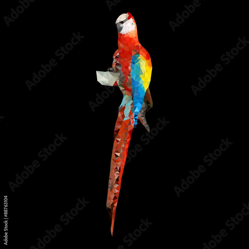 low poly parrot