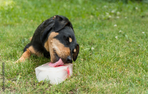 Obraz na plátne Willkommene Abkühlung im Sommer